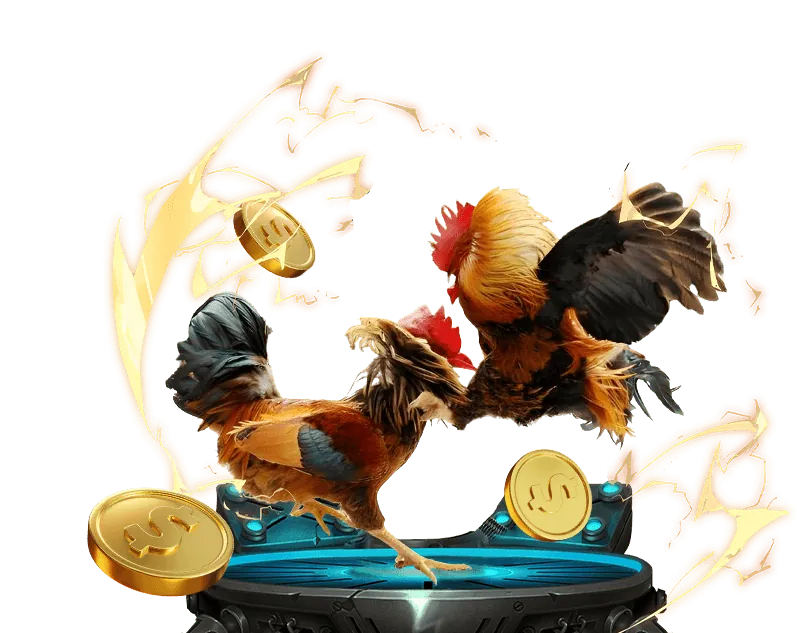 Tổng quan về đá gà trực tuyến